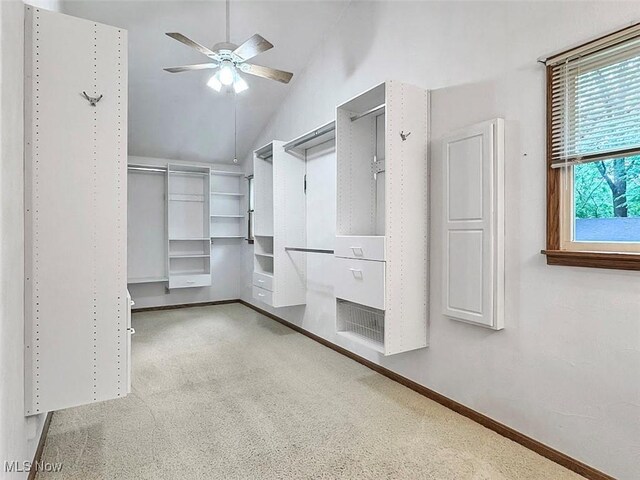 1027 Twp Rd Unit 1806, Ashland, OH 44805 - spacious closet with carpet floors, lofted ceiling, and ceiling fan