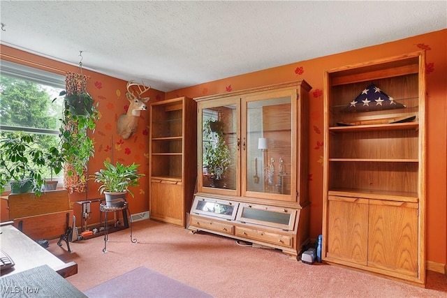 4190 Springdale Rd, Stow, OH 44224 - living area featuring carpet flooring and a textured ceiling
