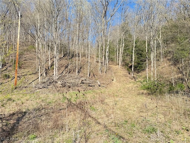 N County Road 22 A St, Bloomingdale, OH 43910