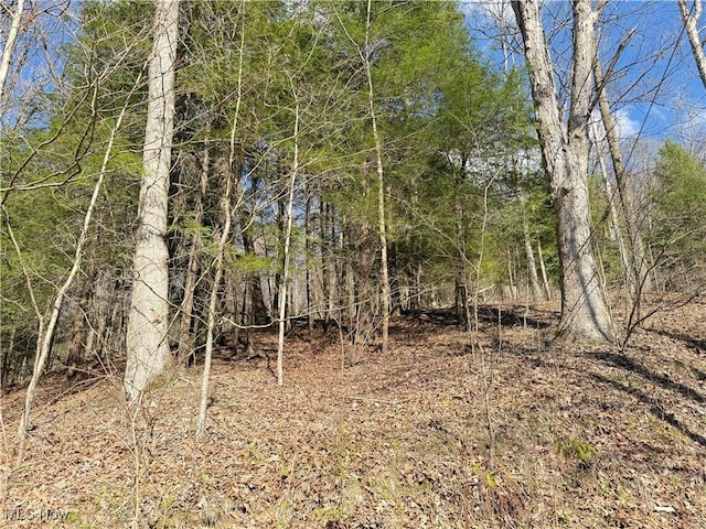 N County Road 22 A St, Bloomingdale, OH 43910