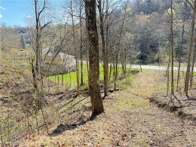 N County Road 22 A St, Bloomingdale, OH 43910