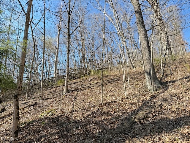 N County Road 22 A St, Bloomingdale, OH 43910