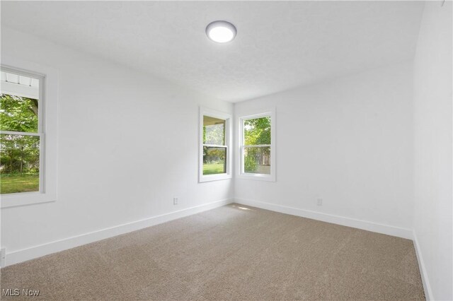 1077 Brandon Rd, Cleveland Heights, OH 44112 - photo 22