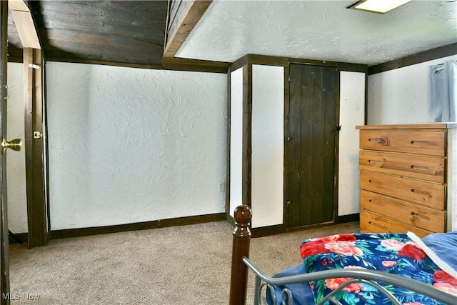 252 E Main St, Newton Falls, OH 44444 - bedroom with carpet flooring, a textured wall, and a textured ceiling