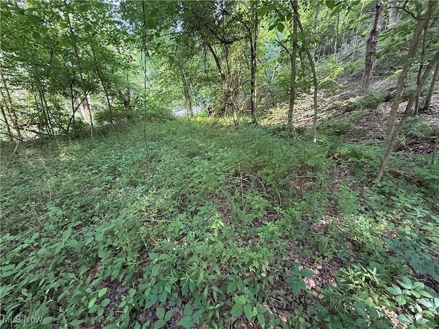 14785 S Egypt Rd, Salem, OH 44460 - photo 1