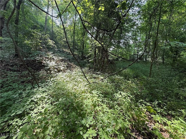 14785 S Egypt Rd, Salem, OH 44460 - photo 2