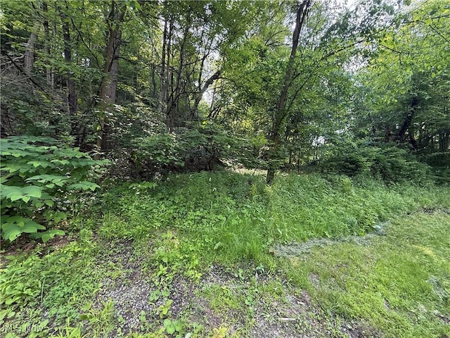 14785 S Egypt Rd, Salem, OH 44460 - photo 3