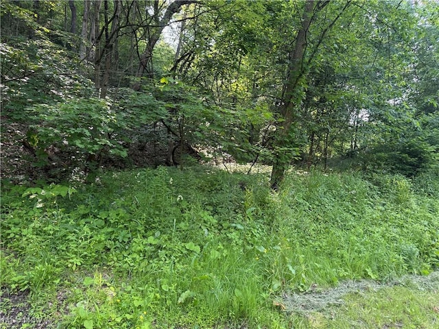 14785 S Egypt Rd, Salem, OH 44460 - photo 4