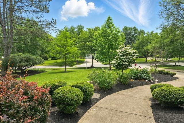 25901 Annesley Rd, Beachwood, OH 44122 - photo 5