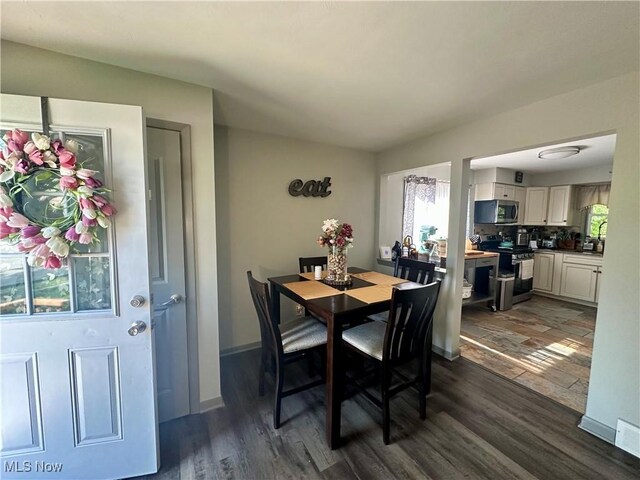 556 Moherman Ave, Youngstown, OH 44509 - dining area featuring dark wood-type flooring and plenty of natural light