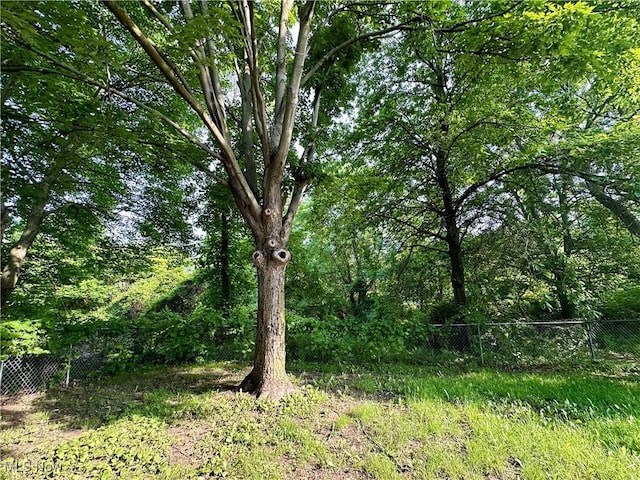 556 Moherman Ave, Youngstown, OH 44509 - view of nature