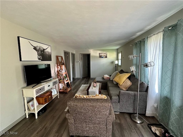 556 Moherman Ave, Youngstown, OH 44509 - living room featuring dark wood-type flooring and baseboards