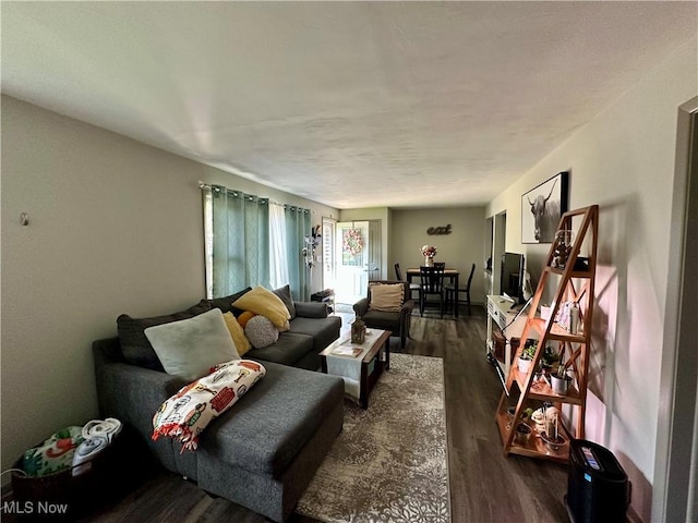 556 Moherman Ave, Youngstown, OH 44509 - living area featuring dark wood-type flooring