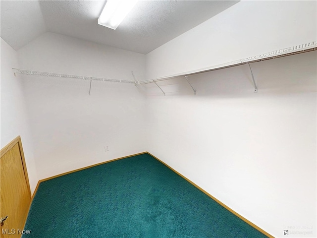 35005 Lisle Ct, Willoughby, OH 44094 - walk in closet with carpet and lofted ceiling