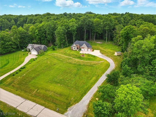 16890 Hazy Morning Dr, Middlefield, OH 44062 - photo 3
