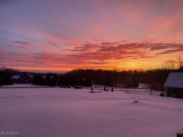 16890 Hazy Morning Dr, Middlefield, OH 44062 - photo 43