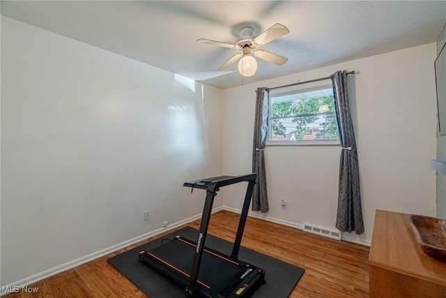 2880 Hetzel Dr, Parma, OH 44134 - exercise room with wood finished floors and a ceiling fan