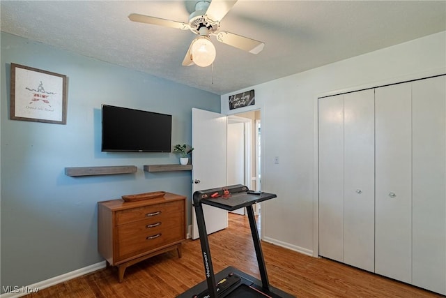 2880 Hetzel Dr, Parma, OH 44134 - exercise room with wood finished floors and a ceiling fan