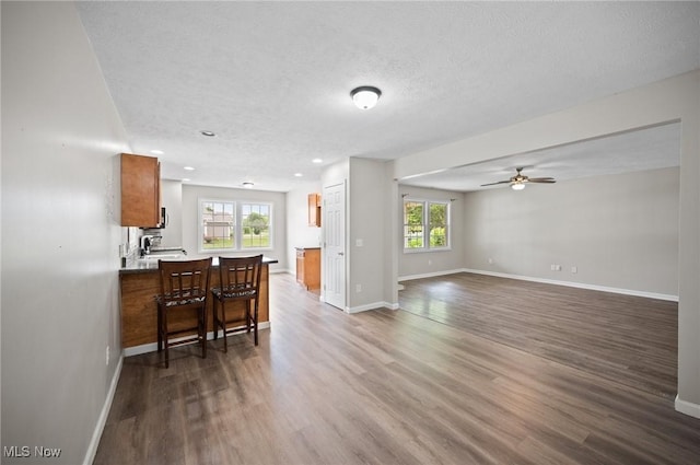 3031 Logan Ln Unit 1, Rock Creek, OH 44084 - kitchen featuring healthy amount of natural light, dark wood-style floors, a peninsula, a ceiling fan, and recessed lighting