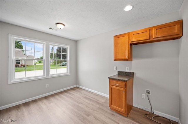 3031 Logan Ln Unit 1, Rock Creek, OH 44084 - kitchen featuring brown cabinetry, light wood-style floors, a textured ceiling, and dark countertops