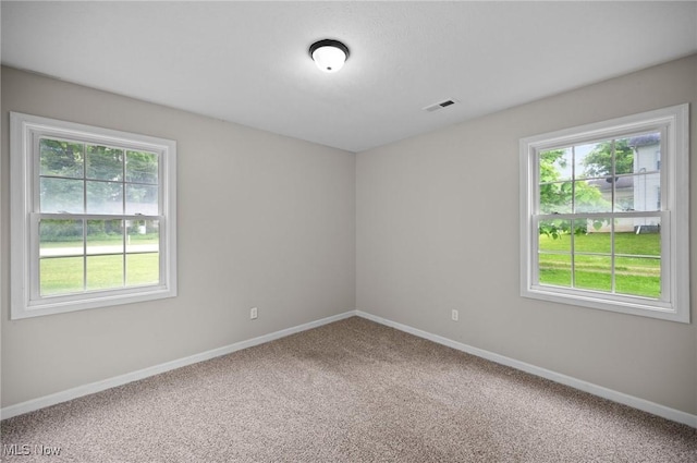3031 Logan Ln Unit 1, Rock Creek, OH 44084 - empty room with healthy amount of natural light and carpet flooring