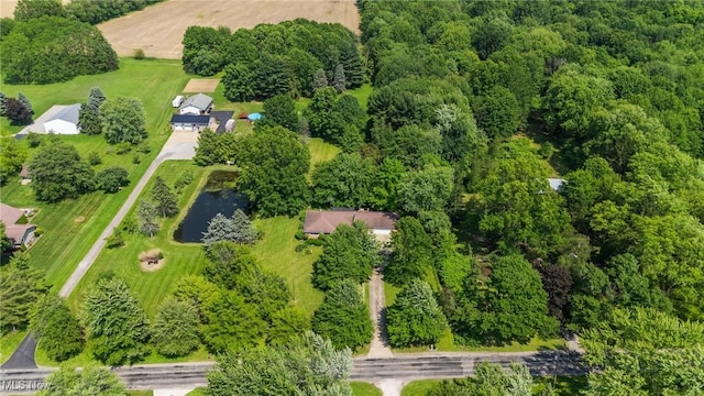 3612 Ridge Rd, Cortland, OH 44410 - aerial view of property's location