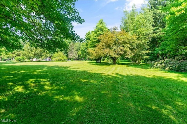 3612 Ridge Rd, Cortland, OH 44410 - view of grassy yard