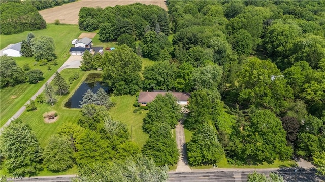 3612 Ridge Rd, Cortland, OH 44410 - aerial view of a nearby body of water