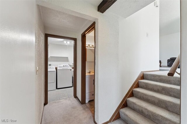 3917 Oxford Dr, Lorain, OH 44053 - stairs with separate washer and dryer and carpet floors