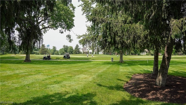 196 Chisholm Ct, Aurora, OH 44202 - view of community featuring a yard