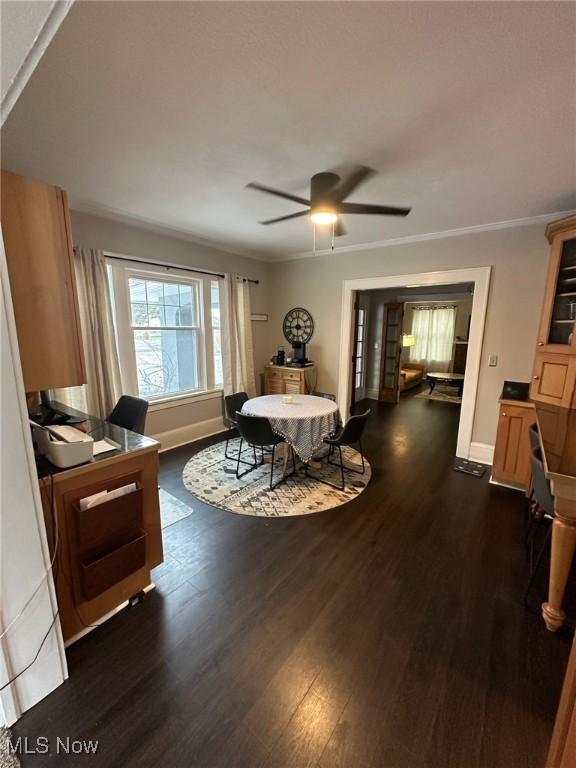900 Raff Rd SW, Canton, OH 44710 - photo 9