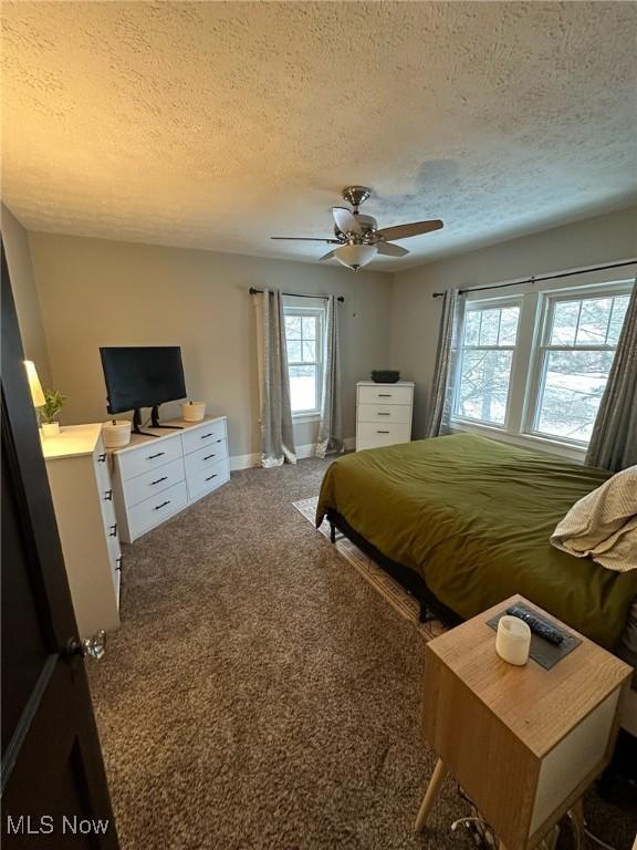 900 Raff Rd SW, Canton, OH 44710 - photo 19