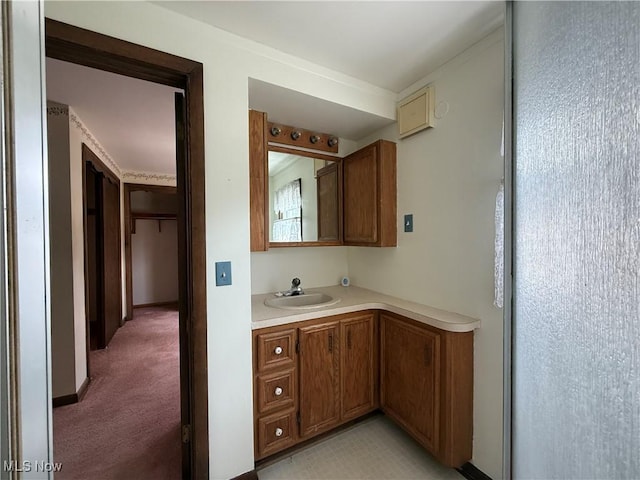 3022 Heatherbrae Dr, Poland, OH 44514 - bathroom with vanity