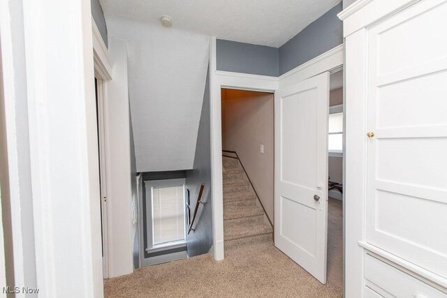 1643 Larchmont Ave, Lakewood, OH 44107 - photo 19