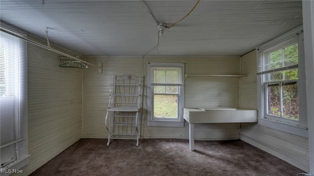 59590 Vocational Rd, Byesville, OH 43723 - unfurnished sunroom with healthy amount of natural light