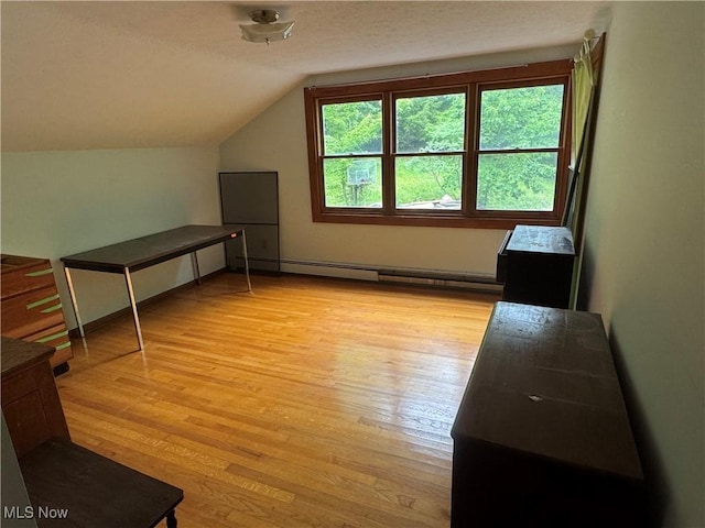 9999 Kirtland Chardon Rd, Chardon, OH 44024 - bonus room with light wood-style floors and vaulted ceiling