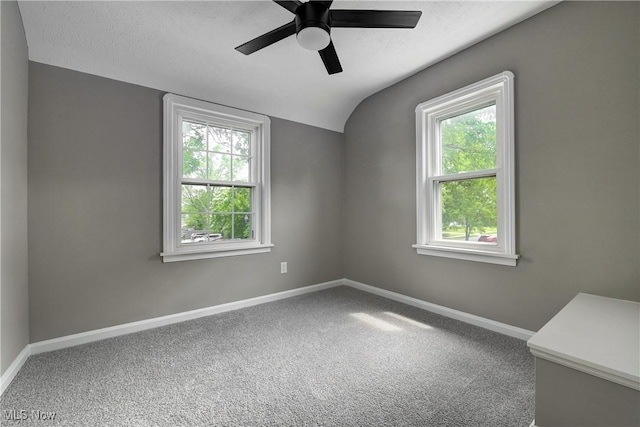 17631 Milburn Ave, Cleveland, OH 44135 - carpeted spare room featuring plenty of natural light, vaulted ceiling, a ceiling fan, and a textured ceiling