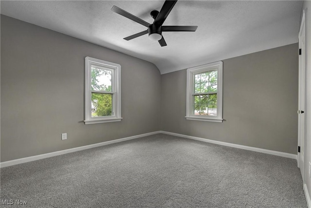 17631 Milburn Ave, Cleveland, OH 44135 - carpeted spare room with ceiling fan, plenty of natural light, lofted ceiling, and a textured ceiling