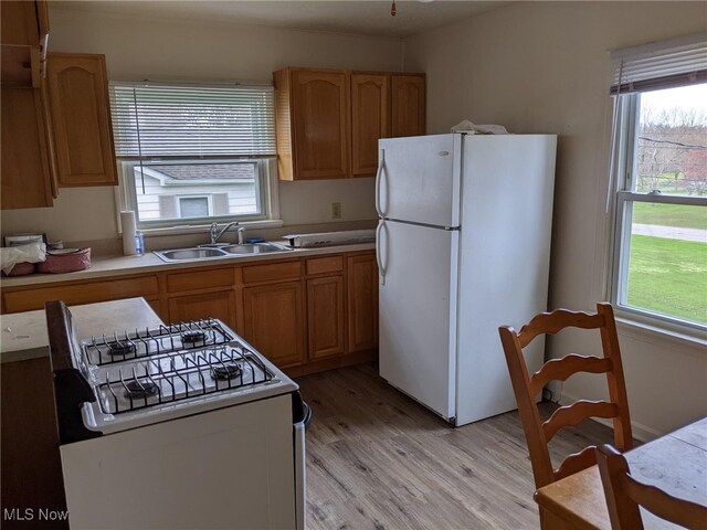 1803 Stillwagon Rd, Warren, OH 44484 - kitchen featuring white appliances, light wood-style flooring, and plenty of natural light