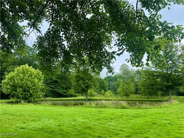1803 Stillwagon Rd, Warren, OH 44484 - view of green lawn featuring a water view
