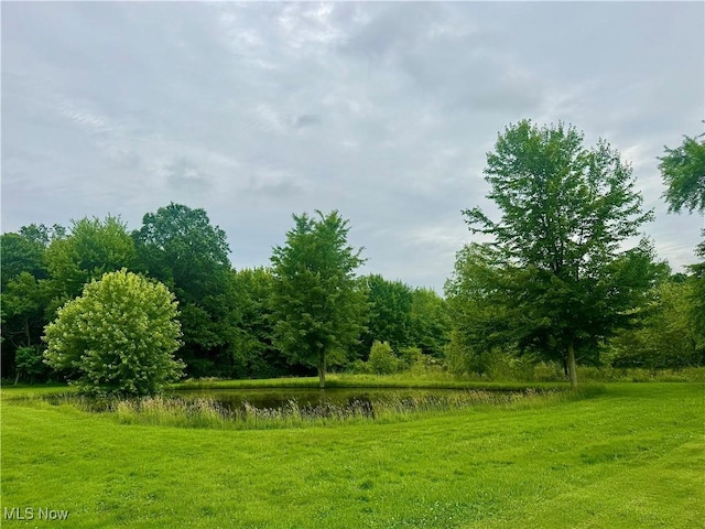 1803 Stillwagon Rd, Warren, OH 44484 - view of yard with a water view and a forest view