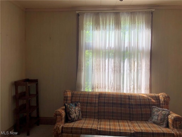 305 Adolphus St, Chester, WV 26034 - living area with crown molding