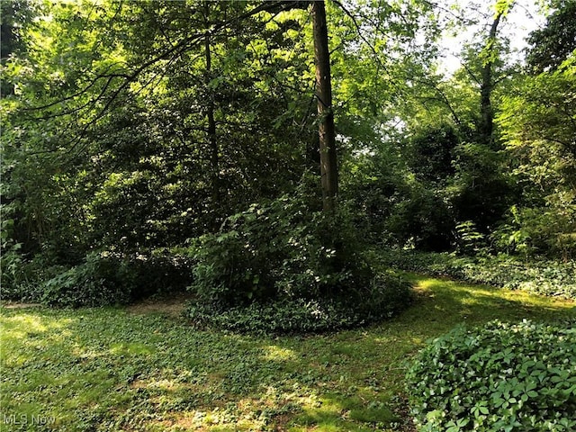 305 Adolphus St, Chester, WV 26034 - view of wooded area