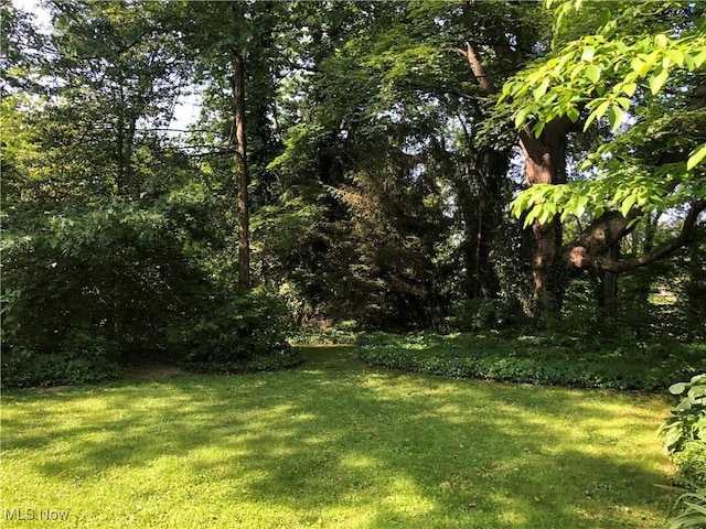 305 Adolphus St, Chester, WV 26034 - view of grassy yard