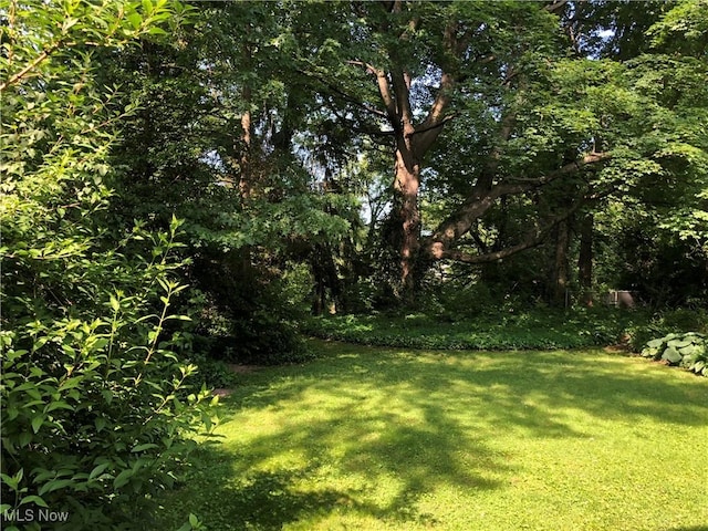 305 Adolphus St, Chester, WV 26034 - view of grassy yard