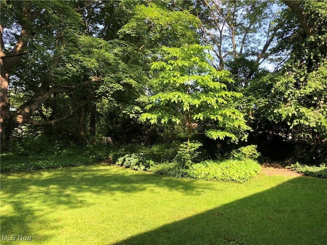 305 Adolphus St, Chester, WV 26034 - view of grassy yard