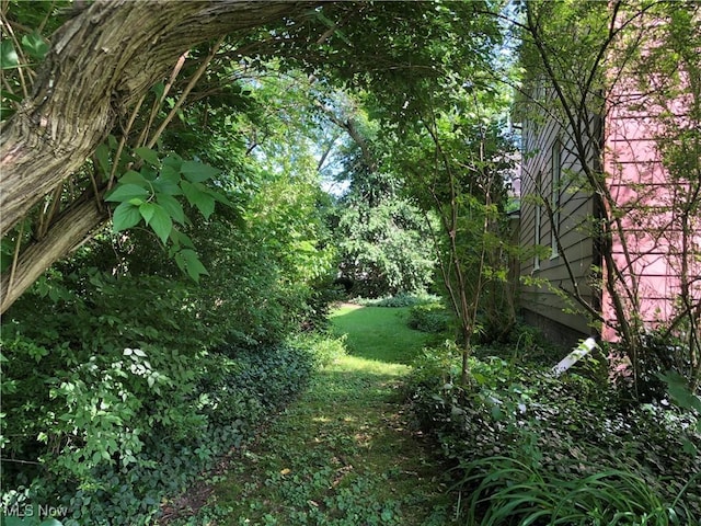 305 Adolphus St, Chester, WV 26034 - view of grassy yard