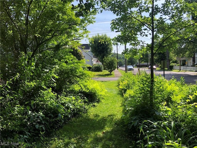 305 Adolphus St, Chester, WV 26034 - view of yard