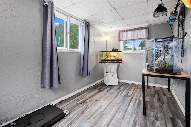 6478 Kerneywood Rd, Parma, OH 44129 - office with a textured wall, plenty of natural light, a drop ceiling, and wood finished floors