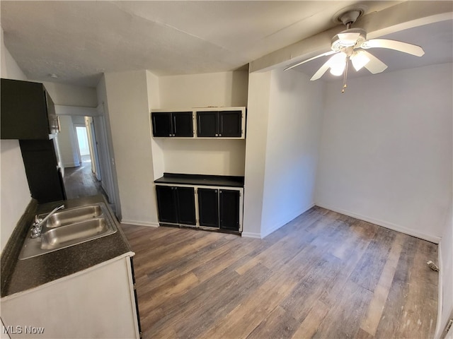 1825 Lakeview Rd, East Cleveland, OH 44112 - unfurnished living room featuring wood finished floors and a ceiling fan